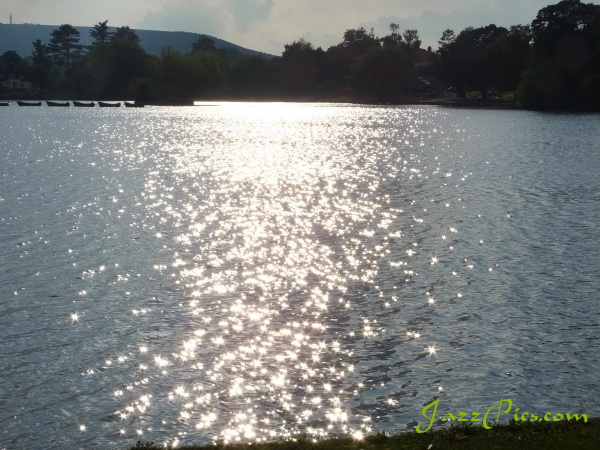 A photograph of the water at Petersfield lake taken directly into the sunlight evening-sun-on-the-lake.jpg